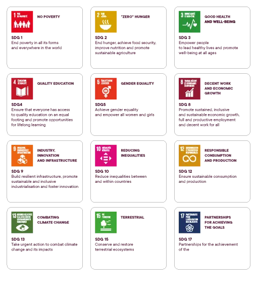 A colorful infographic displays the United Nations Sustainable Development Goals with icons and brief descriptions focused on ending poverty, hunger, promoting health, education, gender equality, decent work, innovation, reducing inequalities, sustainable cities, responsible consumption, climate action, ecosystem restoration, and global partnerships.

Description generated by AI