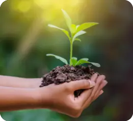 Hands gently holding soil with a small green plant sprouting from it against a blurred natural background with sunlight.

Description generated by AI